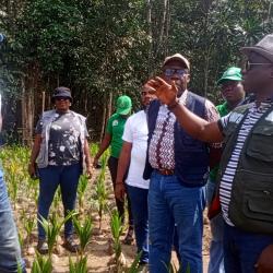 Government Launches Fully Funded Coconut Seed Garden Initiative in Four Southeastern Counties